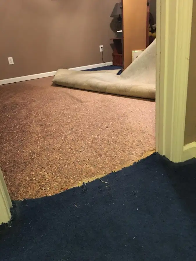 Carpet pad removal revealing water damage during Drying & Dehumidification in Kingston