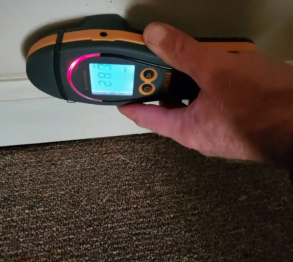 Moisture detection at baseboard during Mold Inspection & Testing in Kingston